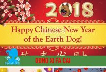 GONG CI FA CAI - Selamat Hari Raya Imlek 2018