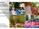 Lowongan / Job Spa Therapist Araamu Spa Maldives Lowongan / Job Spa Therapist Araamu Spa Maldives