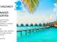 Lowongan / Job Vacancy Spa Manager Hotel Bintang 5 – Maldives Lowongan / Job Vacancy Spa Manager Hotel Bintang 5 - Maldives