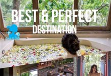 Lowongan / Job Vacancy Asistant Spa Manager The Kayon Resort – Ubud Lowongan / Job Vacancy Asistant Spa Manager The Kayon Resort - Ubud