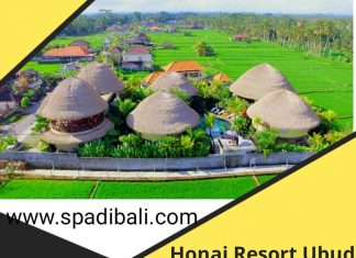 Resort Yoga Di Ubud - Lowongan Spa Therapist Honai Resort Ubud - Bali