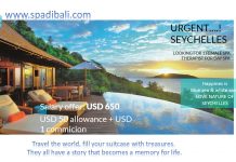 Explore Keindahan Kepulauan Seychelles – Lowongan Spa Therapist Afrika Timur – Seychelles Explore Keindahan Kepulauan Seychelles - Lowongan Spa Therapist Afrika Timur - Seychelles
