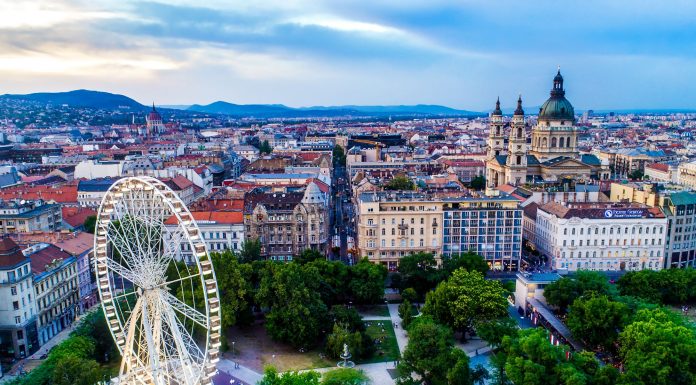 Lowongan Kerja Pemetik Jamur Pria & Wanita - Budapest, Hungary