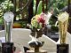 Lowongan Spa Therapist Wanita Berpengalaman Untuk Sebuah Resort & Spa Maldives
