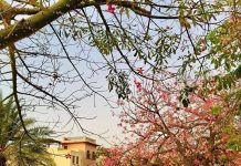 Lowongan Spa Therapist Wanita Luar Negeri 2019 - Movenpick Hotel & Resort Negara Asia Barat Jordan