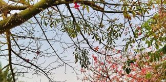 Lowongan Spa Therapist Wanita Luar Negeri 2019 - Movenpick Hotel & Resort Negara Asia Barat Jordan