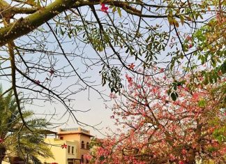 Lowongan Spa Therapist Wanita Luar Negeri 2019 - Movenpick Hotel & Resort Negara Asia Barat Jordan