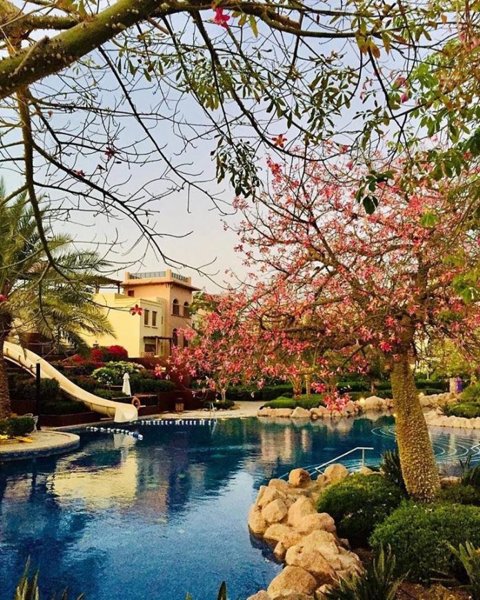 Lowongan Spa Therapist Wanita Luar Negeri 2019 - Movenpick Hotel & Resort Negara Asia Barat Jordan