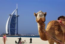 Lowongan Spa Therapist ke Luar Negeri Dengan Gaji Menarik - Kota Paling Aman di Dunia , Dubai