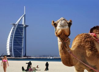 Lowongan Spa Therapist ke Luar Negeri Dengan Gaji Menarik – Kota Paling Aman di Dunia , Dubai Lowongan Spa Therapist ke Luar Negeri Dengan Gaji Menarik - Kota Paling Aman di Dunia , Dubai