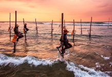 Kesempatan Bekerja Spa Therapist Ke Luar Negeri - Negara Kepulauan - Srilanka Mutiara Samudera India