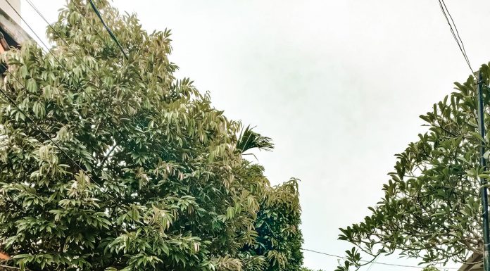 Persiapan Sebelum Bekerja Ke Luar Negeri - Polandia, Dubai, Maldives, Romania, Russia, Turkey, Qatar, New Zealand