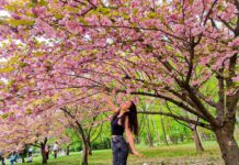 Rasakan Kehangatan & Keindahan Musim Semi Di Romania - 20 Orang Spa Therapist Segera Diperlukan