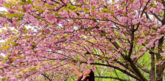 Rasakan Kehangatan & Keindahan Musim Semi Di Romania – 20 Orang Spa Therapist Segera Diperlukan Rasakan Kehangatan & Keindahan Musim Semi Di Romania - 20 Orang Spa Therapist Segera Diperlukan