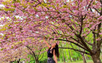 Rasakan Kehangatan & Keindahan Musim Semi Di Romania – 20 Orang Spa Therapist Segera Diperlukan Rasakan Kehangatan & Keindahan Musim Semi Di Romania - 20 Orang Spa Therapist Segera Diperlukan