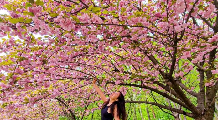 Rasakan Kehangatan & Keindahan Musim Semi Di Romania - 20 Orang Spa Therapist Segera Diperlukan