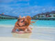 TERBARU!!!Lowongan Kerja Therapist Wanita Untuk Hotel & Resort Terbesar Di Maldives – Check Penawaran Menariknya Disini TERBARU!!!Lowongan Kerja Therapist Wanita Untuk Hotel & Resort Terbesar Di Maldives - Check Penawaran Menariknya Disini