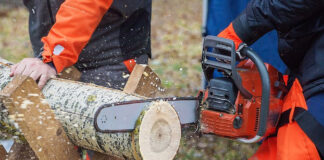 Blandong!!!Lowongan Tukang Tebang Pohon Negara Romania - Gaji USD 600, Diutamakan Bisa Nyetir