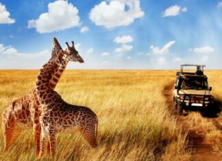 Don’t Judge A Book By Its Cover! Pepatah Yang Cocok Jika Belum Mengenal Negara Africa Ini – Spa Therapist Tanzania