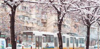 Therapist Wanita Dengan Gaji Tinggi & Proses Visa Resmi - Kota Metropolitan Bucharest, Negara Romania