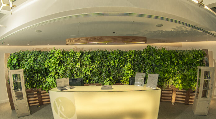 Lowongan Kerja Akhir Tahun 2024 - Kota Besar Cairo - Egypt, Informasi Lengkap Ada Disini